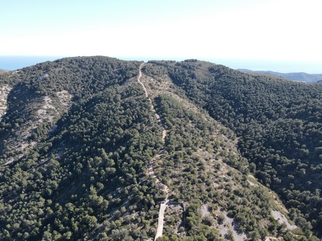 Santa Magdalena de Pulpis